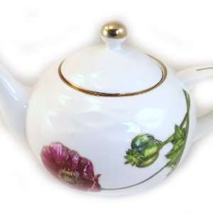  Porcelain teapot Jardin Des Plantes.
