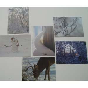    **SPRING SPECIAL8** Winter Scene Note Card Set 