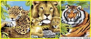 Malen nach Zahlen 3 Bilder Set Leopard Tiger + Löwe NEU  