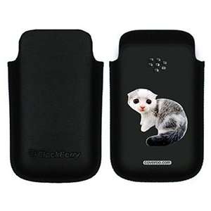  Scottish Fold Kitten on BlackBerry Leather Pocket Case 