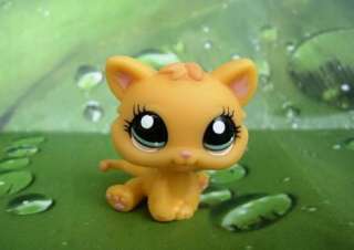 LITTLEST PET SHOP Cute Yellow Kitty Baby Cat #1053  