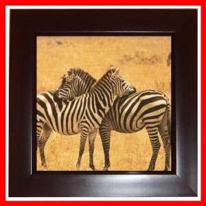 Zebra Couple Horses Wall Decor Framed Tile, Art Tile  