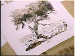 Landscape Drawing Painting DVD Video Vilppu GV3940d New  