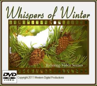 DVD Christmas Relaxing Fire Yule Log & Therapeutic Winter Snowy 