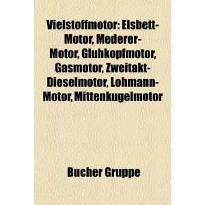 Vielstoffmotor Elsbett Motor, Mederer Motor, Glhkopfmotor, Gasmotor 