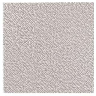 Fasade Border Fill 2 Ft. X 2 Ft. PVC White Lay in Ceiling Tile L59 00 