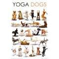  Poster Yoga I Übungen für Anfänger Yoga Grundübungen 