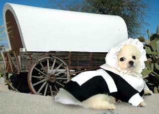 Thanksgiving Pilgrim Girl Dog Costume  