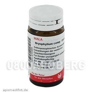 BRYOPHYLLUM COMP. Globuli 20 g PZN 8784685  