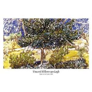 Vincent Van Gogh   Baum In Einem Garten, 1888 Poster Kunstdruck (91 x 