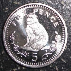 Gibraltar 5 pence Barbary ape monkey animal coin  