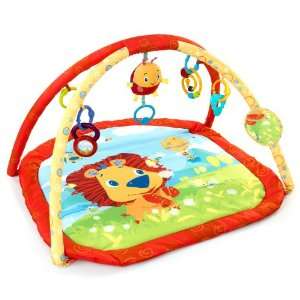  Bright Starts Lion In The Park Activity Gym Baby