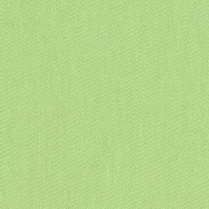 Wide Amy Butler Decorator Twill Leaf Fabric By The Yard amy_butler 