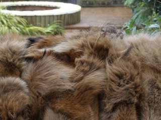 Luxury real COYOTE fur blanket throw 220x205cm  