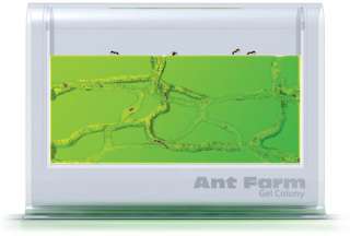 Uncle Milton Ant Farm Gel Colony Live Insect Habitat 0042499014502 