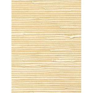  Wallpaper Astek Grasscloth & textures V AtX228
