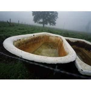  Old Bathtubs Used under Water in a Cow Pasture 