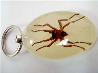 Large Insect Keychain   Ghost Spider (Glow)  