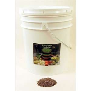 Organic Chia Seeds  30 Lbs  Sprouting Seeds For Growing Sprouts, Chia 