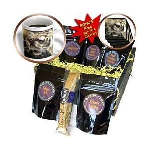  Big Cat Designs   Night Stalker  Tiger Fractalius Art   Coffee 