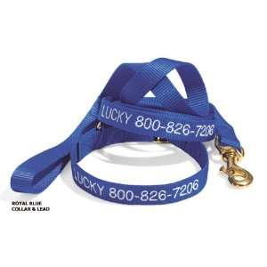   Dog 1 Double Ply Lead (6 ft.) Color Sage Dura Ruff