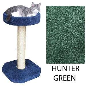  Cat Scratching Post   With Loft Bed   Hunter Green (Hunter 