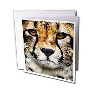  Susan Brown Designs Animal Themes   Cheetah Face 