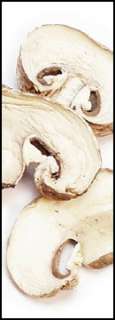 Dried Champignon Sliced Mushrooms   Multiple Sizes Available  