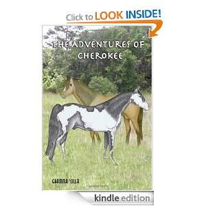 The Adventures of Cherokee Nancy Johnson  Kindle Store