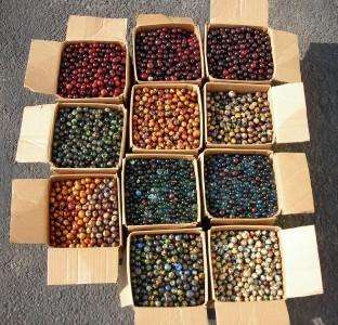   Jabo Foxfire Marbles   1 Share   11 boxes   Approx. 6,000 Mibs  