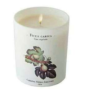    Carriere Freres Industrie ~ FIG TREE Candle