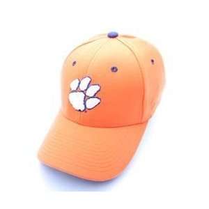  Clemson Tigers Team Logo Flex Fit Hat (Orange)