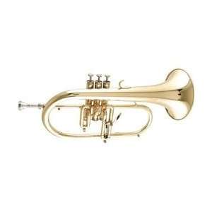   3895 Custom Series Bb Flugelhorn (3895S Silver) Musical Instruments