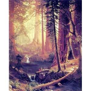  Oil Painting Giant Redwood Trees of California Albert 