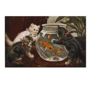  Three Kittens are Fascinated by a Goldfish Bowl Stretched 