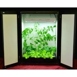 Site Hydroponic Grow Cabinet   All In One, Ready to Plant  
