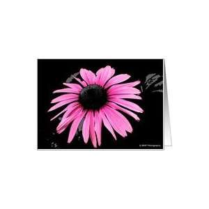  Purple Cone Flower Blank Note Card Card Health & Personal 