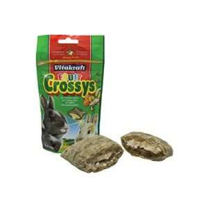  Fruit Crossys Treat For Hamsters   1 X 4 X 6.75