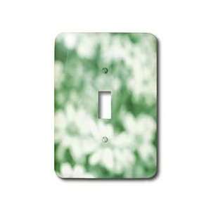 Patricia Sanders Creations   Green Daisies Floral Art   Light Switch 