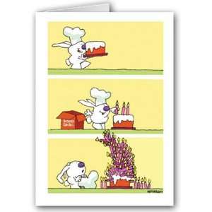 Humorous Birthday Card Pack   12 cards and 13 envelopes   Wow lots of 