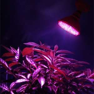 Powerfull PAR38 High Power Hydroponic 336 LED Plant Grass Herb Flower 