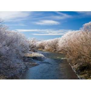 Manuherikia River and Hoar Frost, Ophir, Central Otago, South Island 
