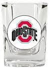 Ohio State Buckeyes Hand Painted 16oz. Wine Glass  