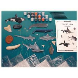  Eyewitness Ocean Life Classroom Science Kit Toys & Games
