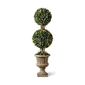  36 Holly Double Ball Topiary   Improvements Patio, Lawn 