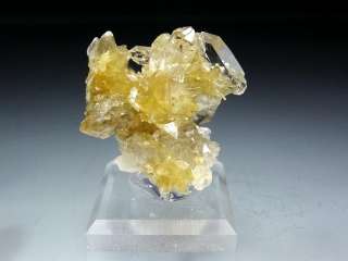 Yellow Star Muscovite Crystal Cluster with Gem Clear Quartz #17  