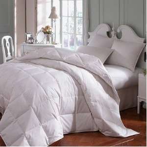   hypo Astra Innofil Comforter Size Oversized Queen