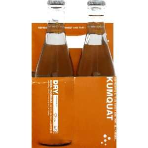 Dry Soda Kumquat 4 pack 12.0 oz (Pack of 6)  Grocery 