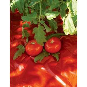  Red Tomato Mulch, Set of 8 Patio, Lawn & Garden