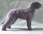 Irish Wolfhound Dog Plush Soft Sculpture Canine Art b